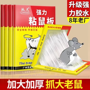 30张强力粘鼠板捉粘大老鼠抓灭鼠笼捕鼠夹神器家用一窝端耗子超强