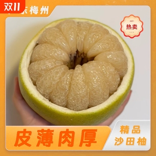 【礼金+金币11.4】纯甜！梅州沙田柚4.5斤