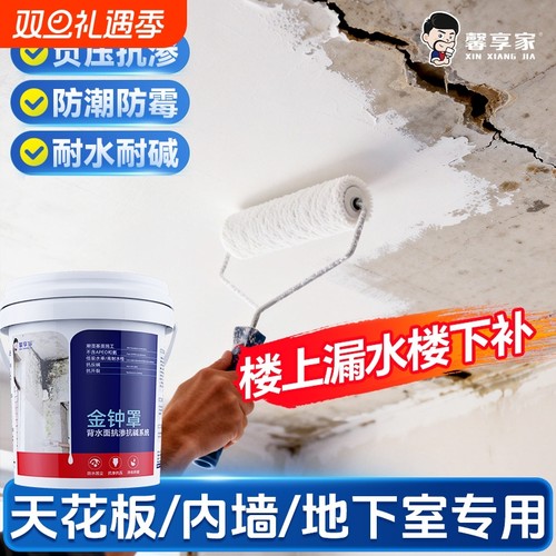 屋顶天花板内墙面防水涂料