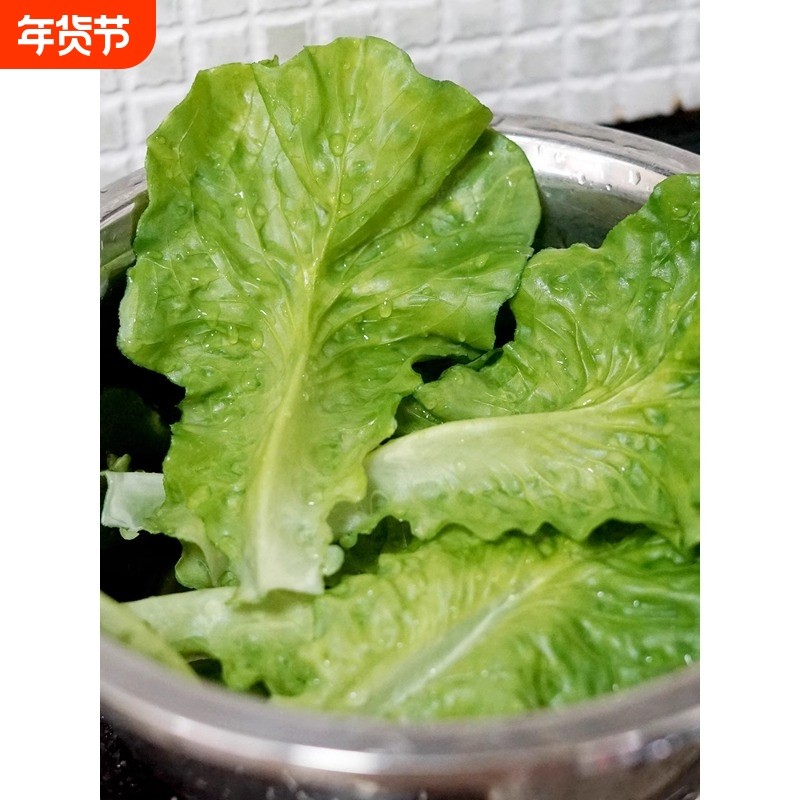 仿真生菜垫片假蔬菜软生菜绿叶厨房生鲜肉餐厅食物道具装饰摆盘垫,鲜花速递/花卉仿真/绿植园艺,仿真果蔬,淘宝优惠券,粉丝福利购,淘宝优惠卷