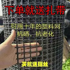 Ограждение 养鸡塑料网格围栏网拦鸡网家用养殖网防护网围栏栅栏户外围墙车间