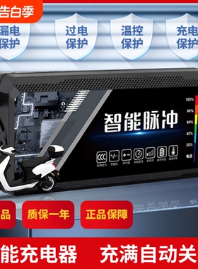 电动车充电器电瓶48v12ah60v20a72v适用于爱玛雅迪三轮铅酸石墨烯
