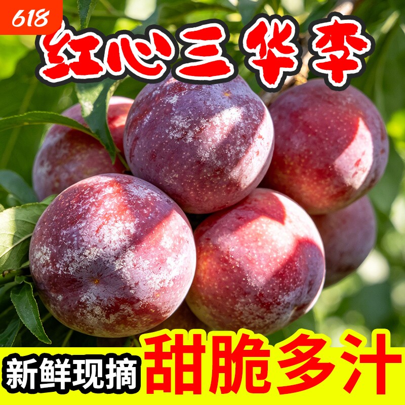 现摘李子广东三华李新鲜水果红心李红肉脆李孕妇水果酸甜大果产地