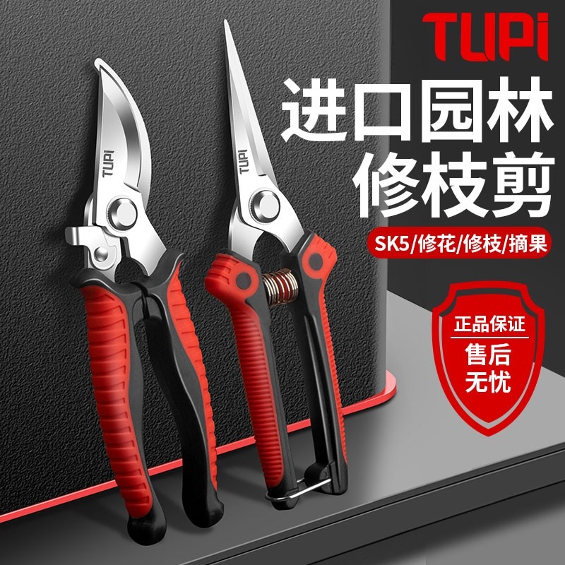 修剪树枝专用剪刀修枝剪刀SK5钢园林园艺果树剪剪子剪枝工具剪刀