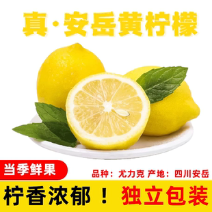 芭芭农场四川安岳柠檬1斤80g尤里克新鲜水果原汁夏季饮品茶饮酸酸