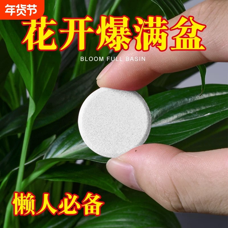植物营养缓释片家庭园艺养花通用型肥料家用盆栽花卉果蔬多肉肥,鲜花速递/花卉仿真/绿植园艺,家庭园艺肥料,淘宝优惠券,粉丝福利购,淘宝优惠卷