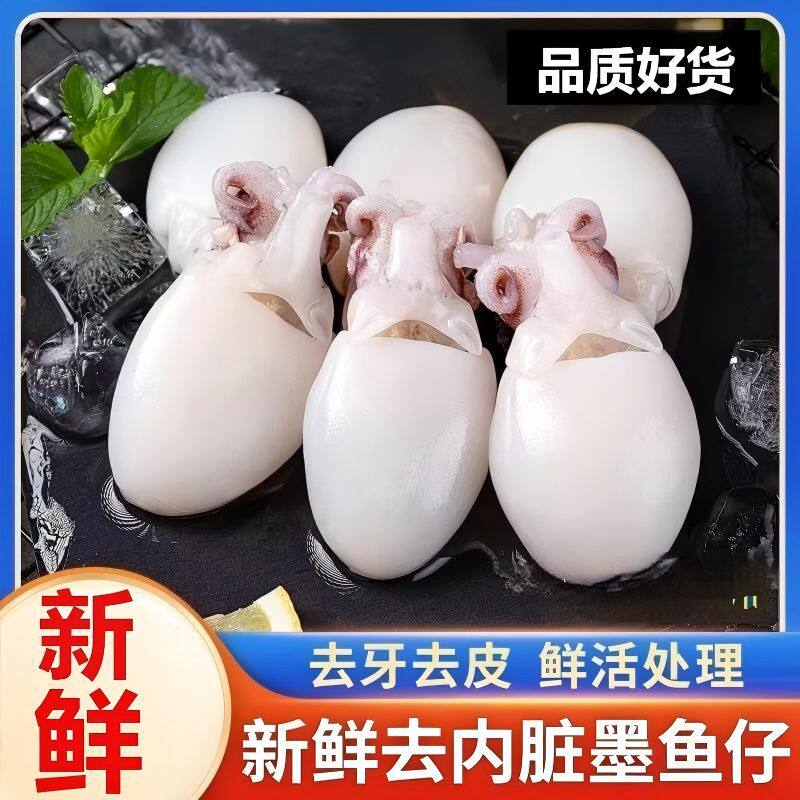 鲜冻墨鱼仔小墨鱼乌贼八爪章鱼海鲜生鲜冷冻火锅商用鱿鱼新鲜鲜活