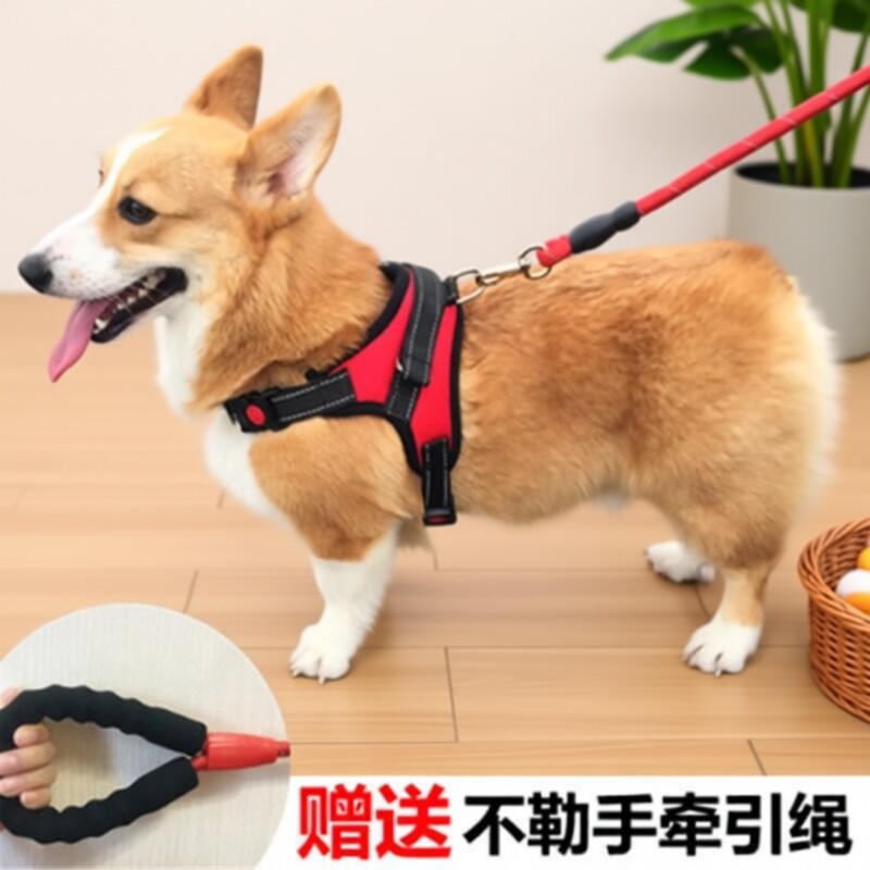 狗背带牵引绳背心式胸背带中型犬遛狗拉布拉多大型犬柯基小型犬