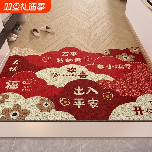 入户门丝圈除尘防滑地毯