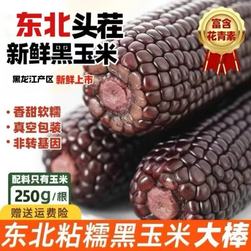 2025东北黑糯玉米新鲜甜玉米加热即食真空装黏粘苞米代早餐新鲜