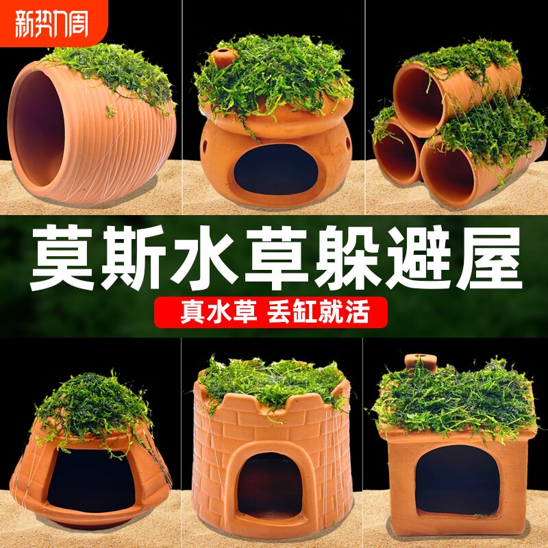 水屿鱼鱼缸躲避屋莫斯水草水草造景真植物躲避罐虾屋摆件小鱼房子