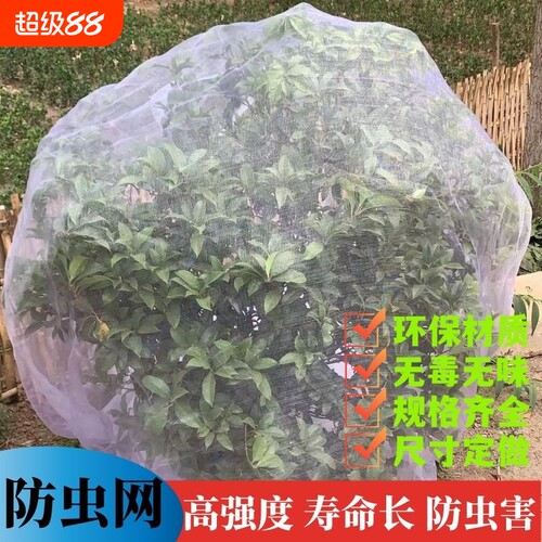 透明白纱网套罩防鸟防虫网罩果树蔬园艺防冰雹病虫害蚊虫果蝇针蜂