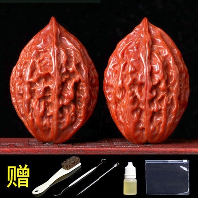 文玩野外楸子长秋子灯笼核桃玩手