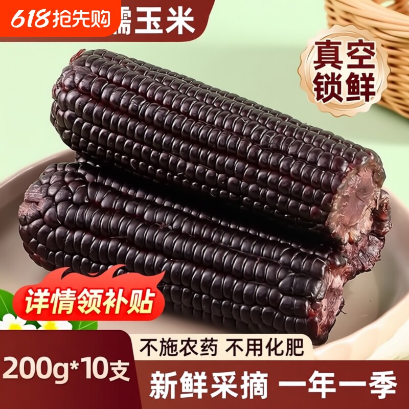 东北黑糯玉米新鲜真空装甜粘苞米主食代餐玉米棒年货黑玉米饱腹