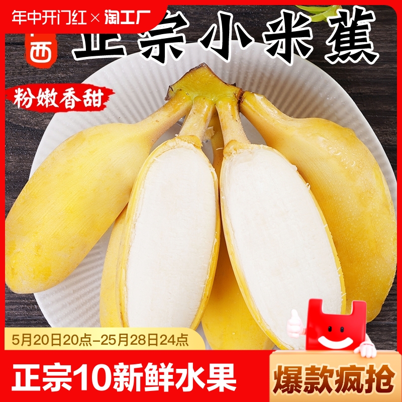 自然熟现摘小米蕉10斤