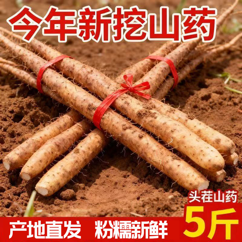 正宗河北铁棍山药新鲜山药小白嘴山药粉糯山药产地直发轻微带土