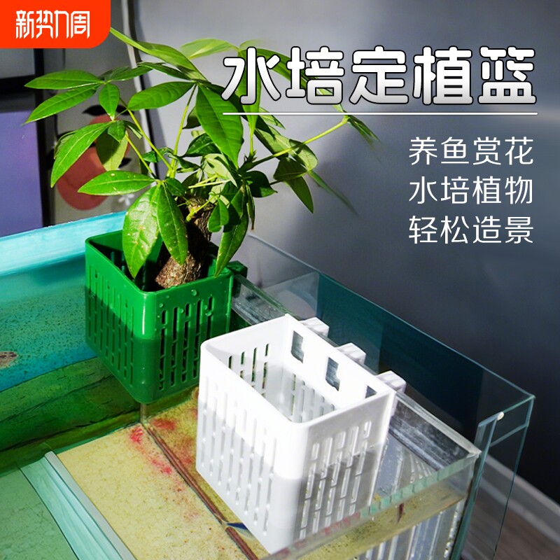 鱼缸水培定植篮壁挂式红薯种植杯绿萝植物篮水草固定神器造景装饰