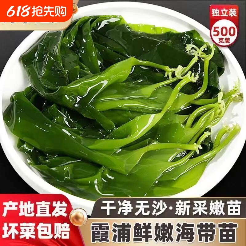 霞浦海带嫩苗新鲜盐渍海带苗火锅凉拌食材脆嫩特级嫩芽小海带美味