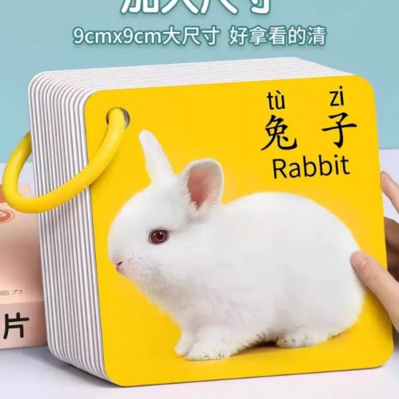 宝宝早教认知卡片看图识物动物卡片婴幼儿益智启蒙兴趣培养新玩具