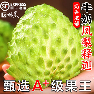 新鲜凤梨牛奶释迦果5斤大目释迦尼佛头果冰淇淋番荔枝特大果现摘