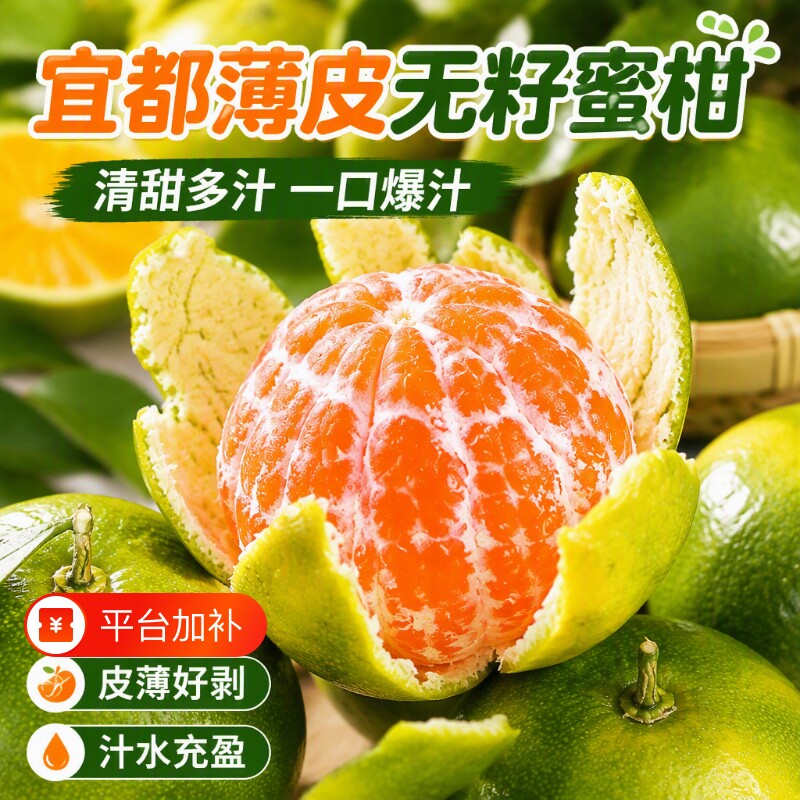 宜昌蜜橘青皮宜都蜜柑新鲜水果当季正宗现摘无籽9斤整箱包邮源头