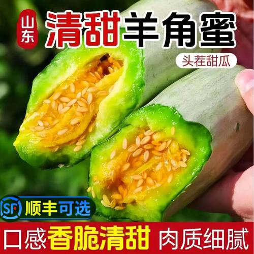 【1850人收藏】现摘山东羊角蜜甜瓜新鲜水果当季头茬香瓜脆甜密瓜
