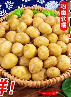 土豆新鲜恩施现挖黄心土豆洋芋农家自种蔬菜马铃薯960g/5/9斤批发