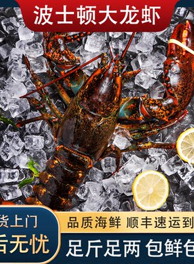 波士顿龙虾鲜活冷冻冻特大号波龙