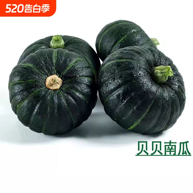 新鲜贝贝南瓜板栗味贝贝小南瓜栗面栗子板票南瓜