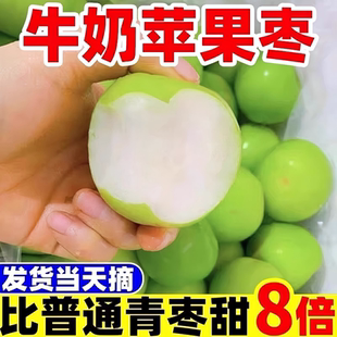 包邮 云南牛奶大青枣新鲜奶油蜜脆枣贵妃枣冬时令水果当季 枣子整箱