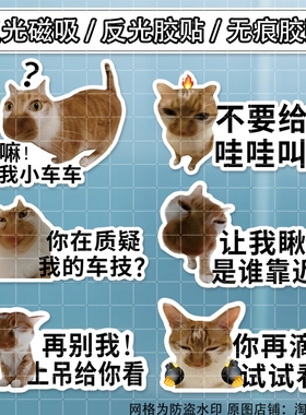 meme猫咪搞笑个性文字车贴搞笑表情包创意装饰贴防水后窗玻璃贴画