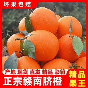 包邮 橙意 水果手剥果冻冰糖甜橙大果整箱 正宗赣南脐橙新鲜橙子当季