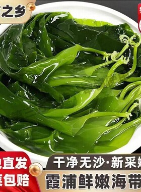 霞浦海带海带苗嫩苗新鲜盐渍火锅凉拌食材脆嫩特级嫩芽小海带美味