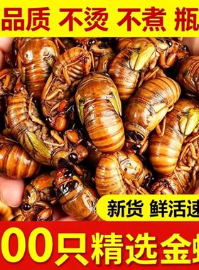 新鲜冷冻大爬叉猴顺丰发货非即食