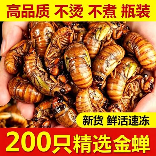 新鲜冷冻大爬叉猴顺丰发货非即食