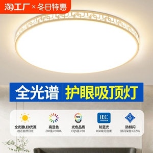 迷宫护眼卧室灯主卧2024新款led吸顶灯简约现代高级感房间灯