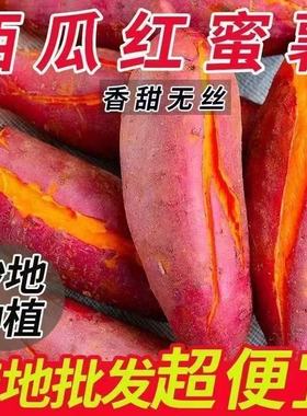 沙地蜜薯西瓜红蜜薯糖心烤红薯现挖新鲜番薯蔬菜地瓜软糯香甜整箱