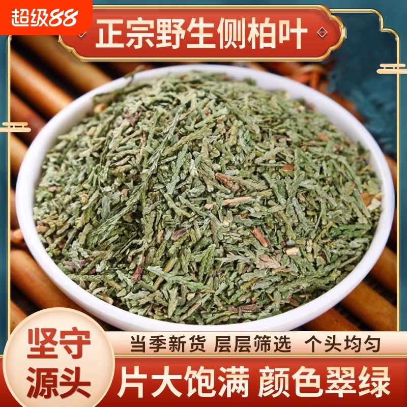中药材侧柏叶侧伯叶扁柏叶干丛柏叶洗头洗发泡头野生新货搭何首乌