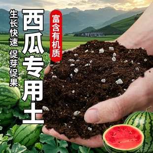种西瓜育苗专用营养土基质肥培养土西瓜苗土壤肥料泥土种植土疏松