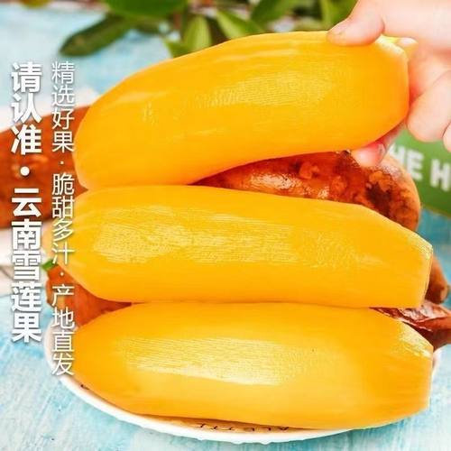 天山雪莲果新鲜水果大果应当季云南孕妇红心雪连果黄心特整箱直发