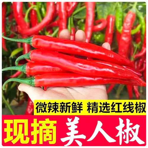 辣椒炒肉新鲜美人椒产地直发包邮