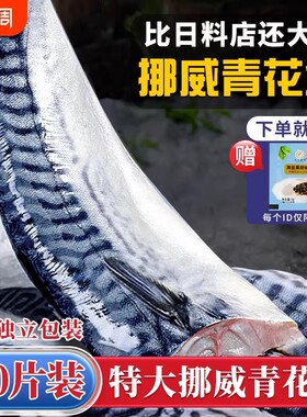 青花鱼挪威进口鲭鱼青占鱼新鲜冷冻盐渍青花鱼片深海鱼鱼肉鲅鱼