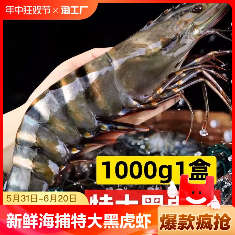 黑虎虾虾大虾鲜活速冻海鲜水产鲜活特大基围虾青岛大海虾白虾海虾 水产肉类/新鲜蔬果/熟食 冻虾 原图主图