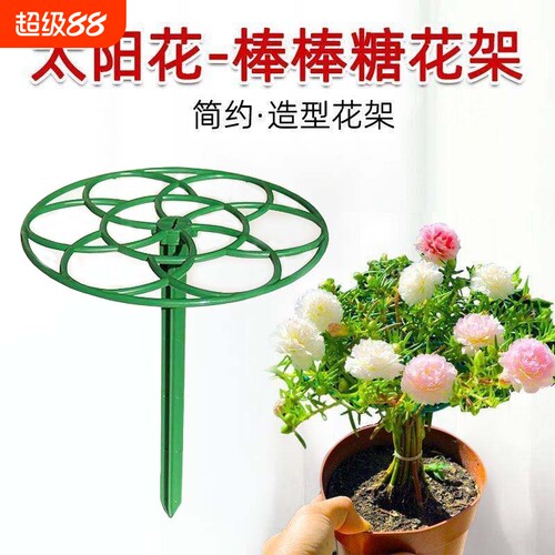 太阳花棒棒糖单层多层支撑爬藤
