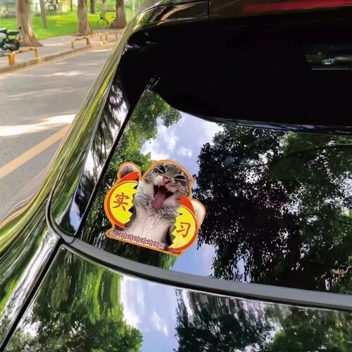 meme猫咪撕烂实习贴搞笑车贴