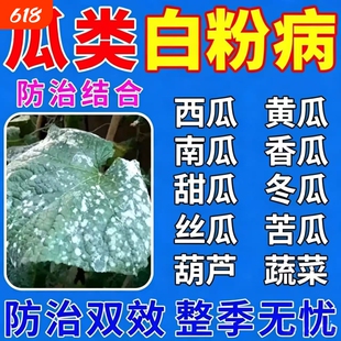 瓜类白粉病专用药西瓜青黄瓜甜瓜南瓜冬瓜香瓜果蔬菜叶白斑杀菌剂