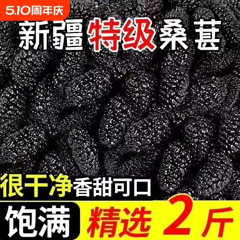 新疆黑桑葚干黑桑椹特产级泡茶新鲜大颗粒干果500g新货