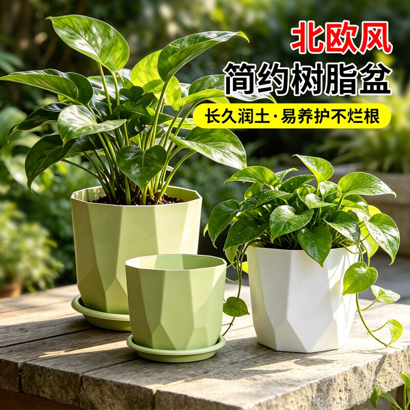 懒人树脂花盆自吸水高级感好看的无孔水培塑料多肉托盘种植控根