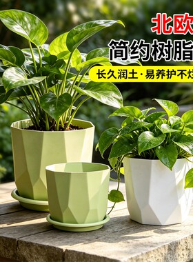 懒人花盆家用自吸水高级感好看的无孔水培塑料多肉托盘种植控根