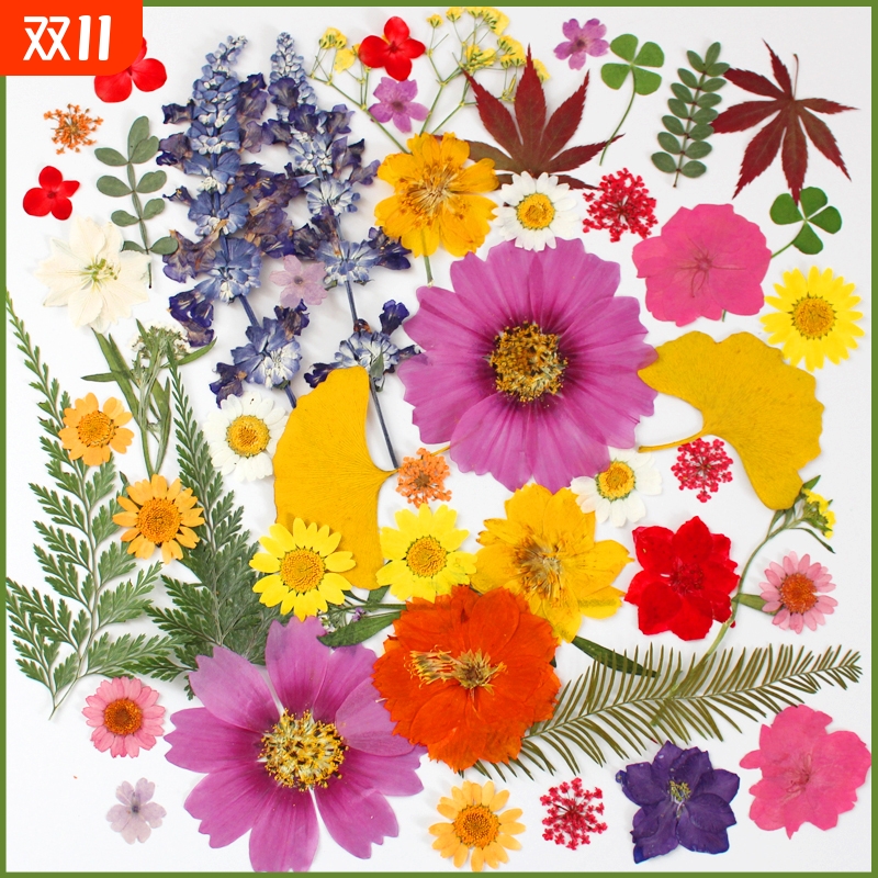 干花diy材料包永生花压花片押花草手工滴胶书签真花植物树叶标本